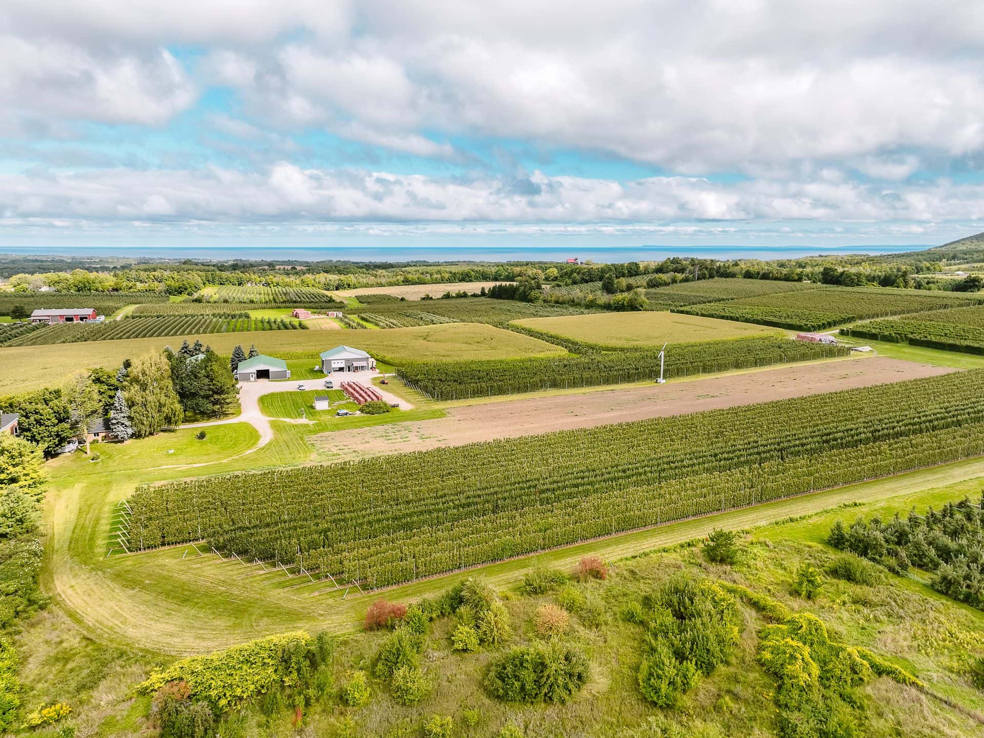 An aerial photo of Apple Orchards in the Blue Mountains.