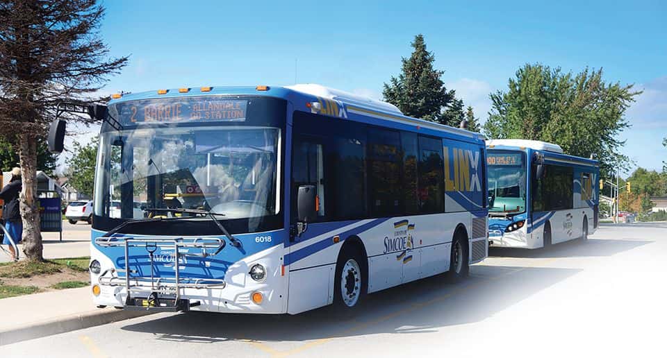 Collingwood-Blue Mountains Transit - B-Link