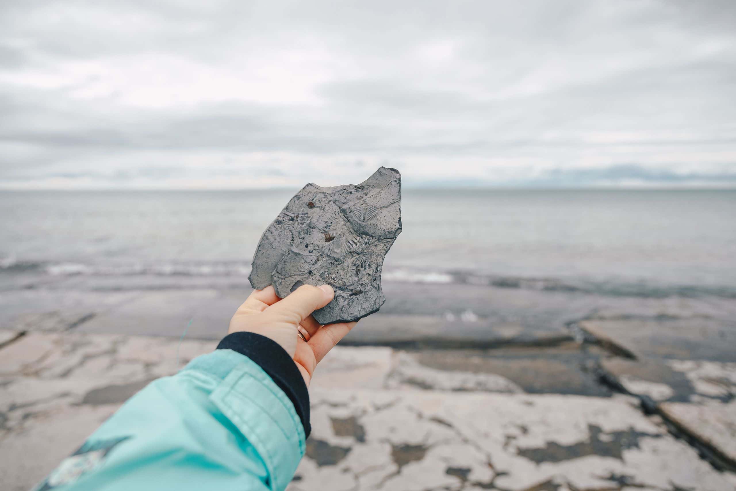 A photo of a woman holding a fossil from a shale beach.