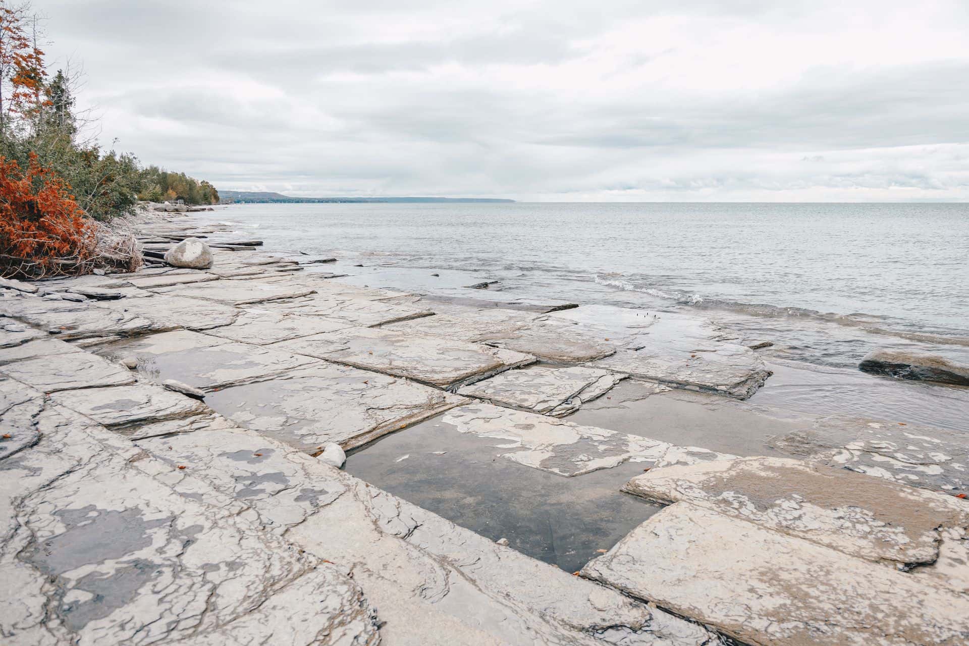 Craigleith Provincial Park in summer.