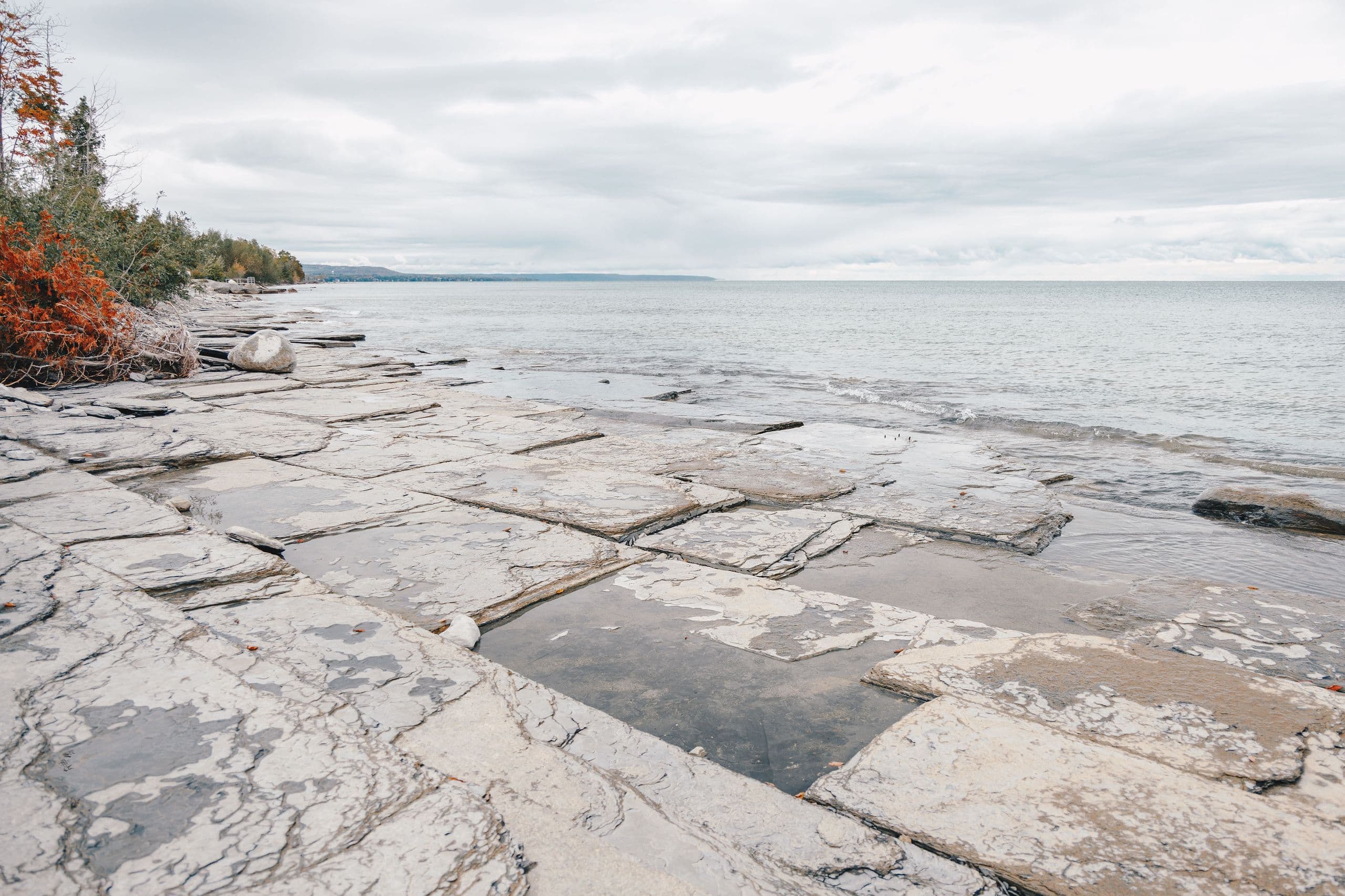 Craigleith Provincial Park in summer.