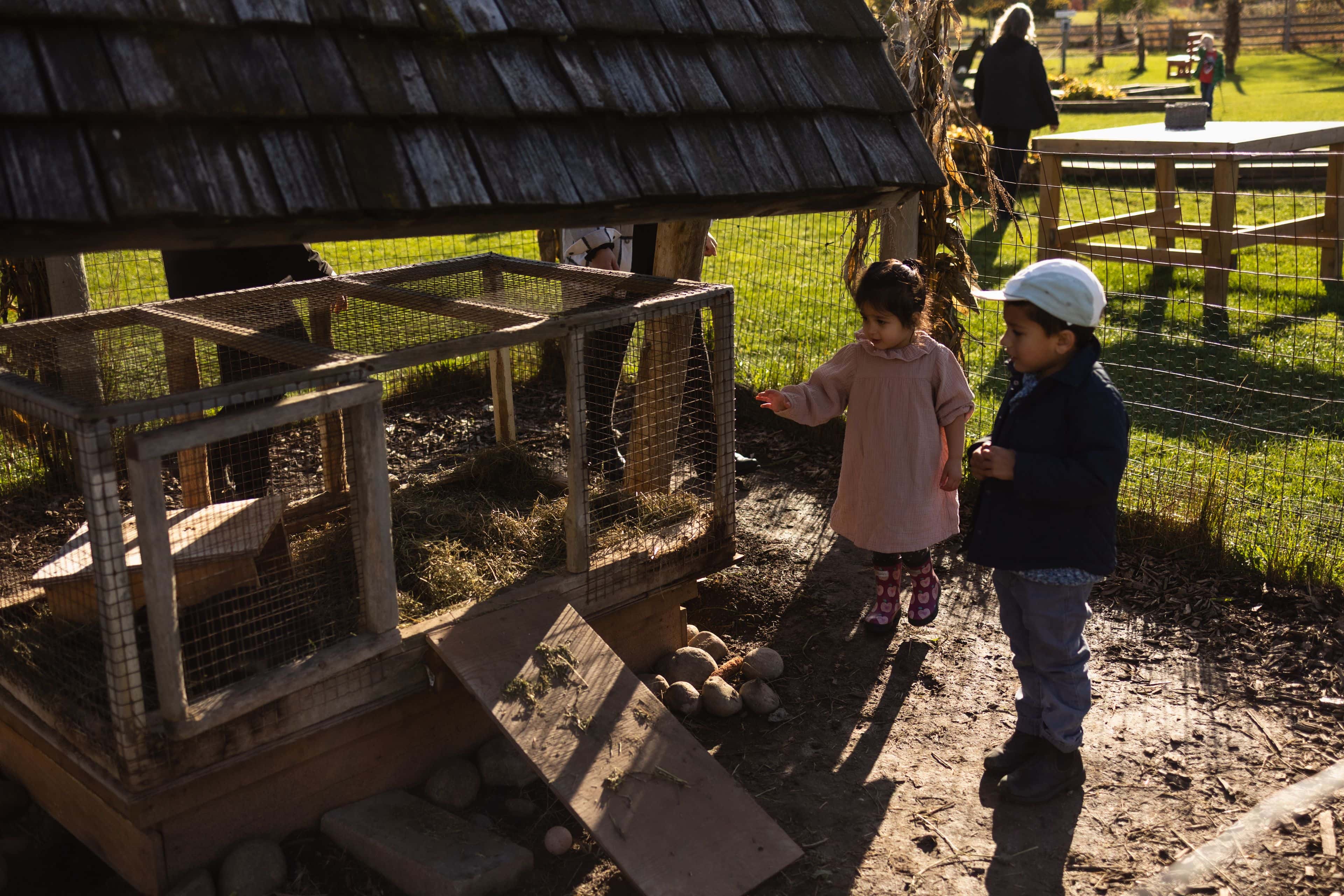 Two young kids interacting with the animals at the Farmers' Pantry Petting Zoo in Clarksburg on a Fall afternoon
