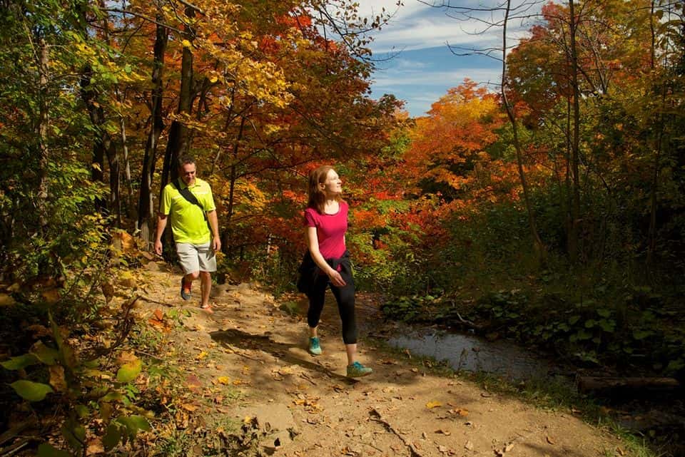 A couple hiking across the Blue Mountain Resort trail, taking in the beauty of the autumn forest surrounding them.