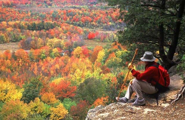 A man perched along a cliffside, staring out across the vast forests filled with autumn colours on a fall hike in the Blue Mountains.