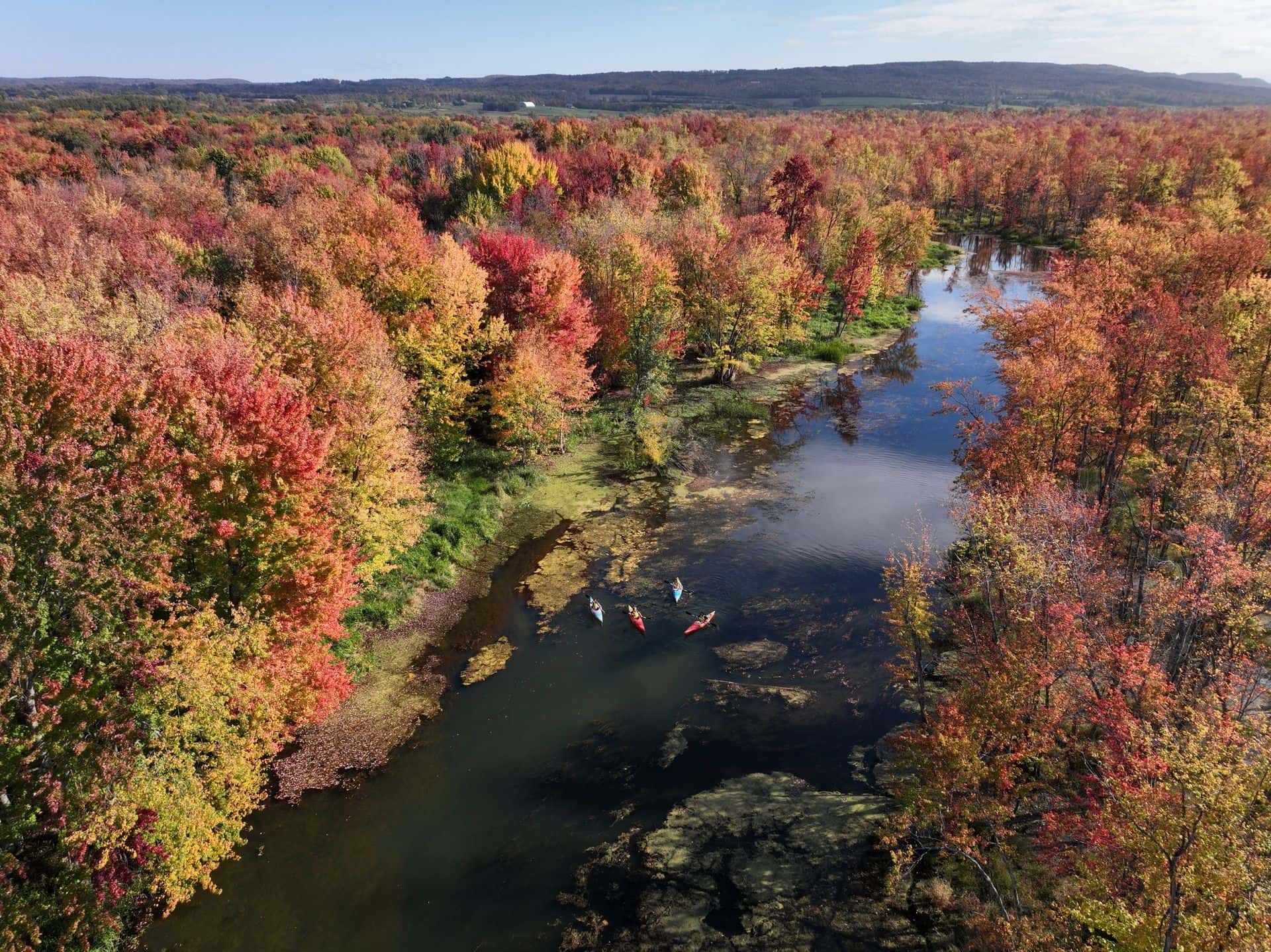 An aerial photo of a group of visitors in Kayaks.