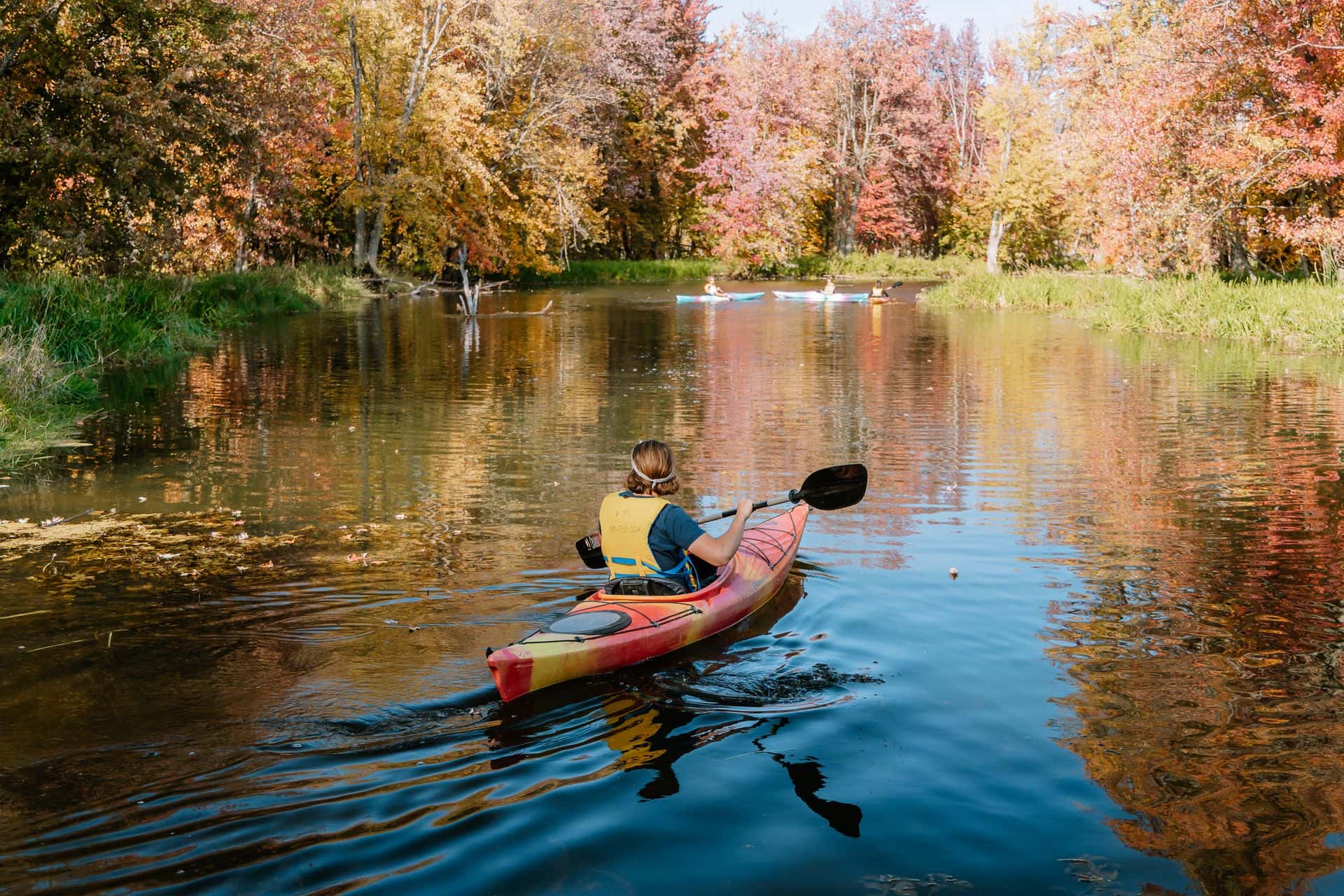 A guided Kayak tour by Free Spirit Tours.