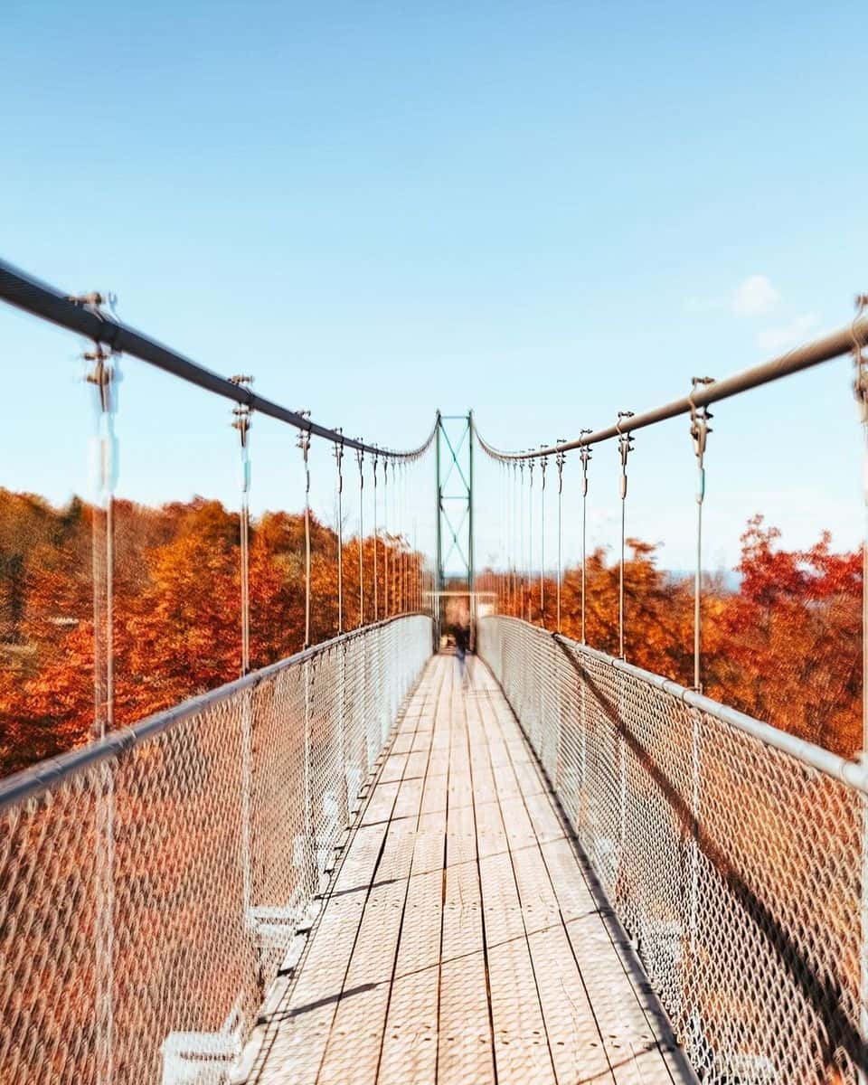 A POV of the Scenic Caves suspension bridge spanning across a forest of orange and red trees during Fall