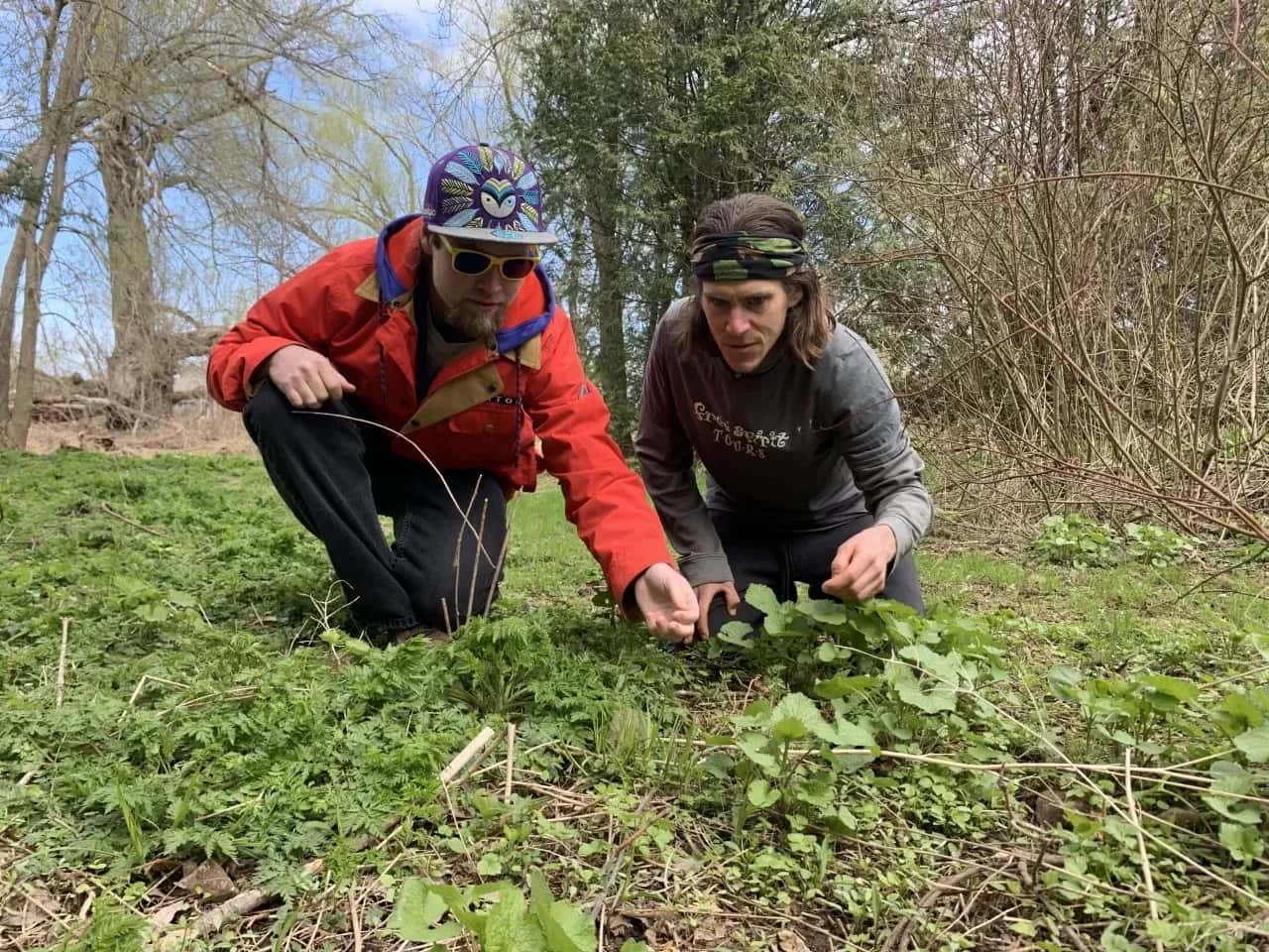 Two men foraging through the brush, identifying wild edibles in nature along the Blue Mountain Trails.
