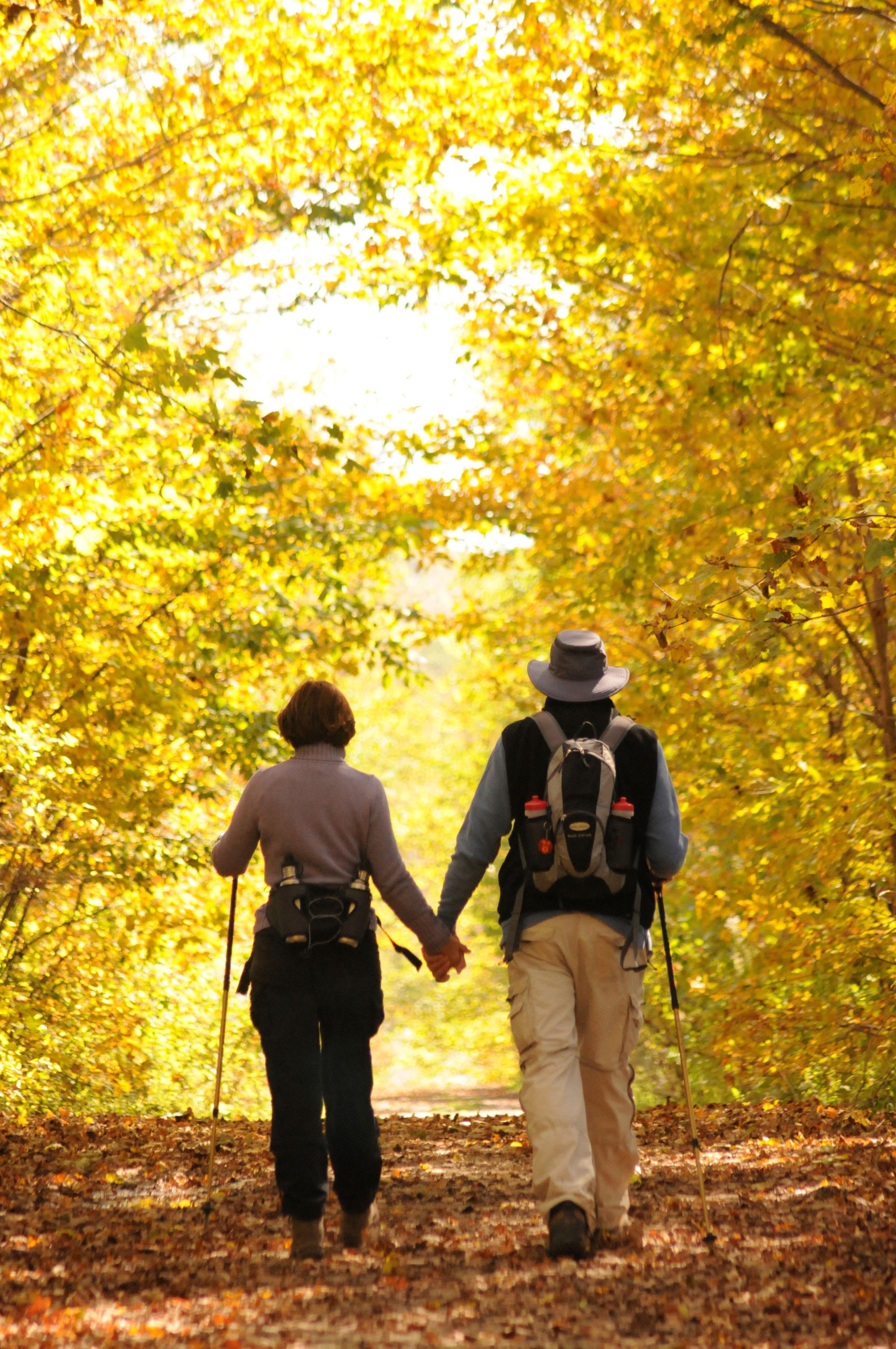 A couple walking hand in hand below a canopy of amber-leaved trees on an Autumn Stroll in the Blue Mountains.