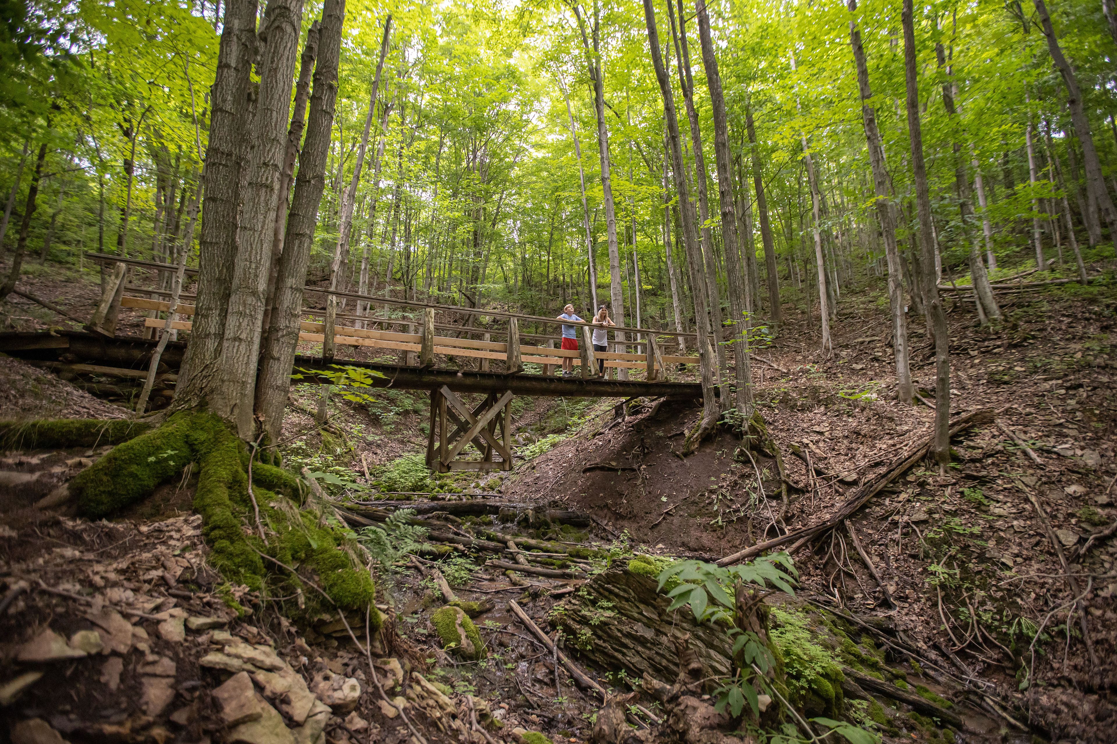 A photo of a hiking trail in summer at Blue Mountain Resort.